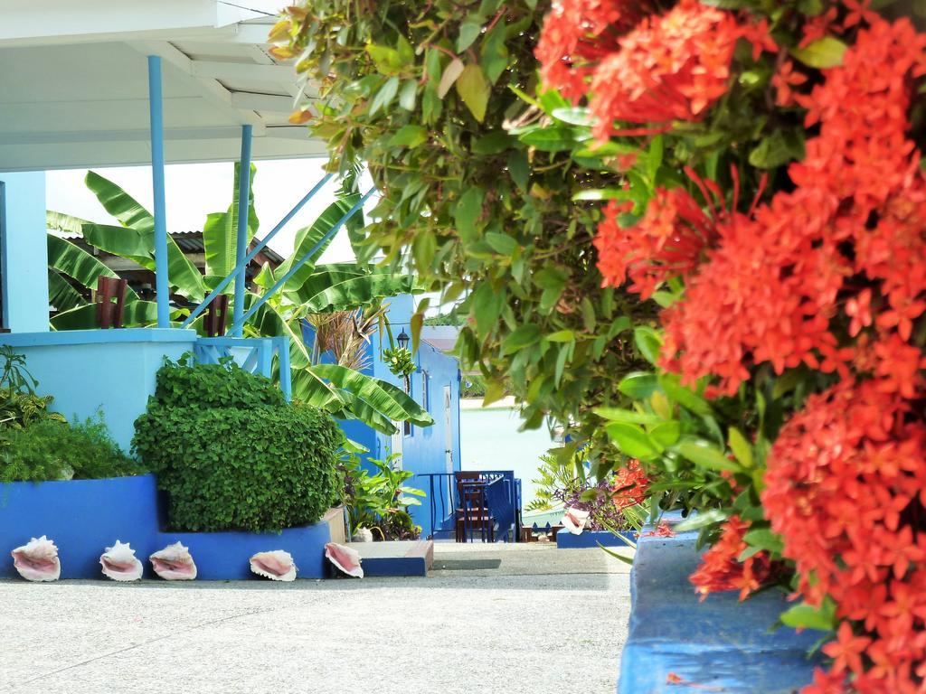Miller'S Guest House Buccoo Exterior foto